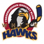 Frederikshavn White Hawks