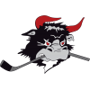 Roedovre Mighty Bulls