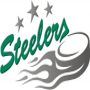 Bietigheim Steelers