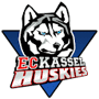 Kassel Huskies