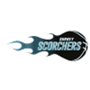 Surrey Scorchers