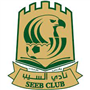 Al-Seeb