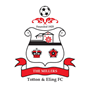 Totton & Eling FC