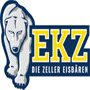 Zeller Eisbaren
