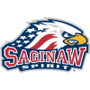 Saginaw Spirit