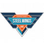 Steel Wings Linz