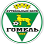 Gomel Reserve