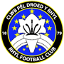 Rhyl FC