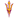 Arizona State Sun Devils