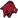 Arkansas Razorbacks
